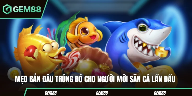 Mẹo bắn đâu trúng đó cho người mới săn cá lần đầu