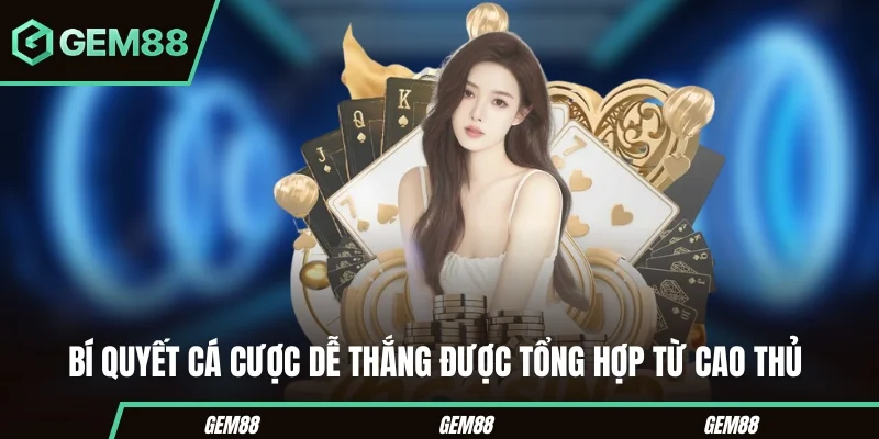 Bí quyết cá cược dễ thắng được tổng hợp từ cao thủ