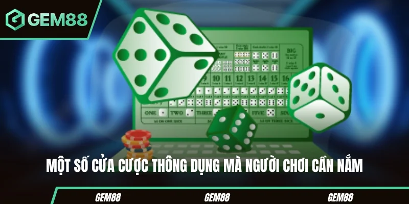 Cách Chơi Sicbo Hiệu Quả Cho Người Mới Bắt Đầu Tại Gem88 Một số cửa cược thông dụng mà người chơi cần nắm