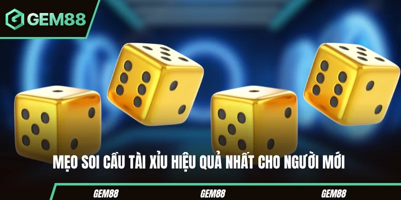 Mẹo soi cầu tài xỉu hiệu quả cho tân binh