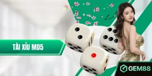 Tài Xỉu MD5 – Tổng Hợp Các Mẹo Rinh Thưởng Hiệu Tại Gem88